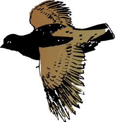 Long-Beaked Bird Clipart - Elegant Nature Illustration