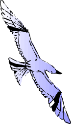 Flying Bird in Sky Clipart - Perfect for Nature Projects