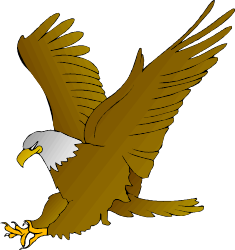 Eagle in Flight: Majestic Wings Spread Clipart