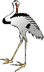 White Crane with Long Beak - Elegant Clipart for Nature Themes