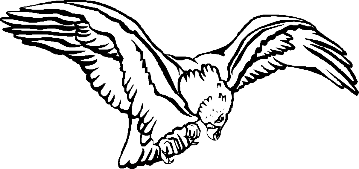 White Eagle with Wings Clipart - Majestic Bird of Prey Design