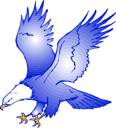 Bird Flying in the Air with Wings Spread - Stunning Clipart Design