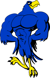 Blue and Yellow Bird on Black Background Clipart