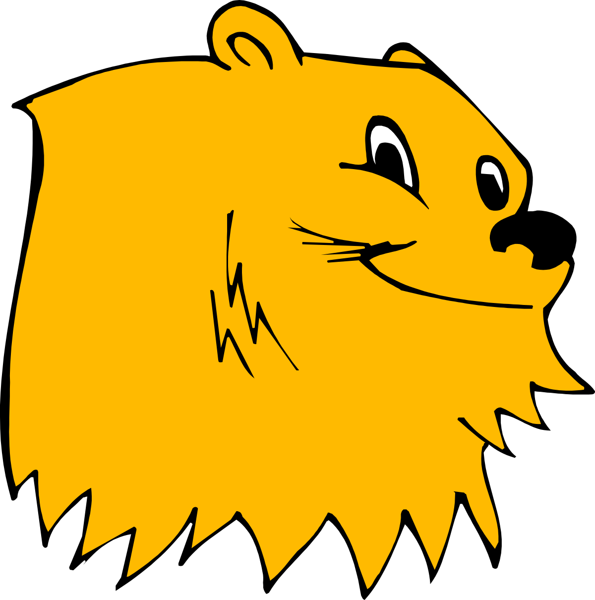 Cartoon Lion Face Clipart on Black Background