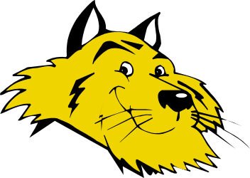 Cartoon Lion Head on Black Background - Bold and Striking Clipart
