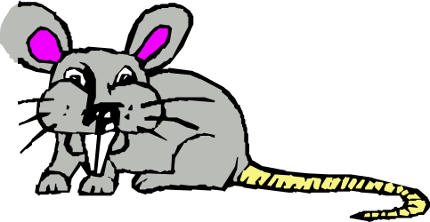 Rabbit with Pink Ears Sitting on the Ground Clipart