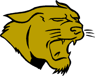 Black and Gold Lion Head Clipart for Stunning Visuals