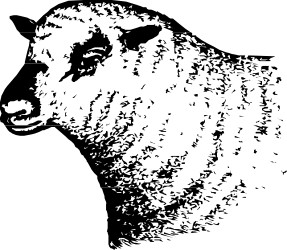 Black and White New Zealand Map Clipart - Detailed Country Outline