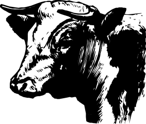 Black and White Horned Cow Clipart for Creative Projects
