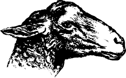 Sheep Clipart - Black and White Illustration for Creative Projects