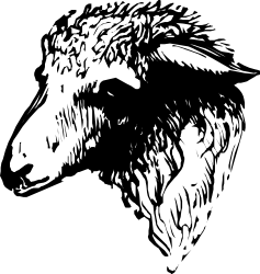 Bird Clipart: Elegant Black and White Drawing for Versatile Use