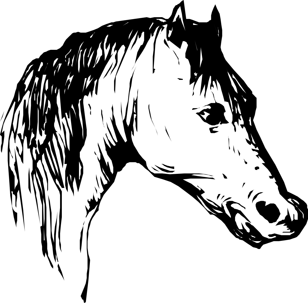 Black and White Horse Head with White Mane Clipart