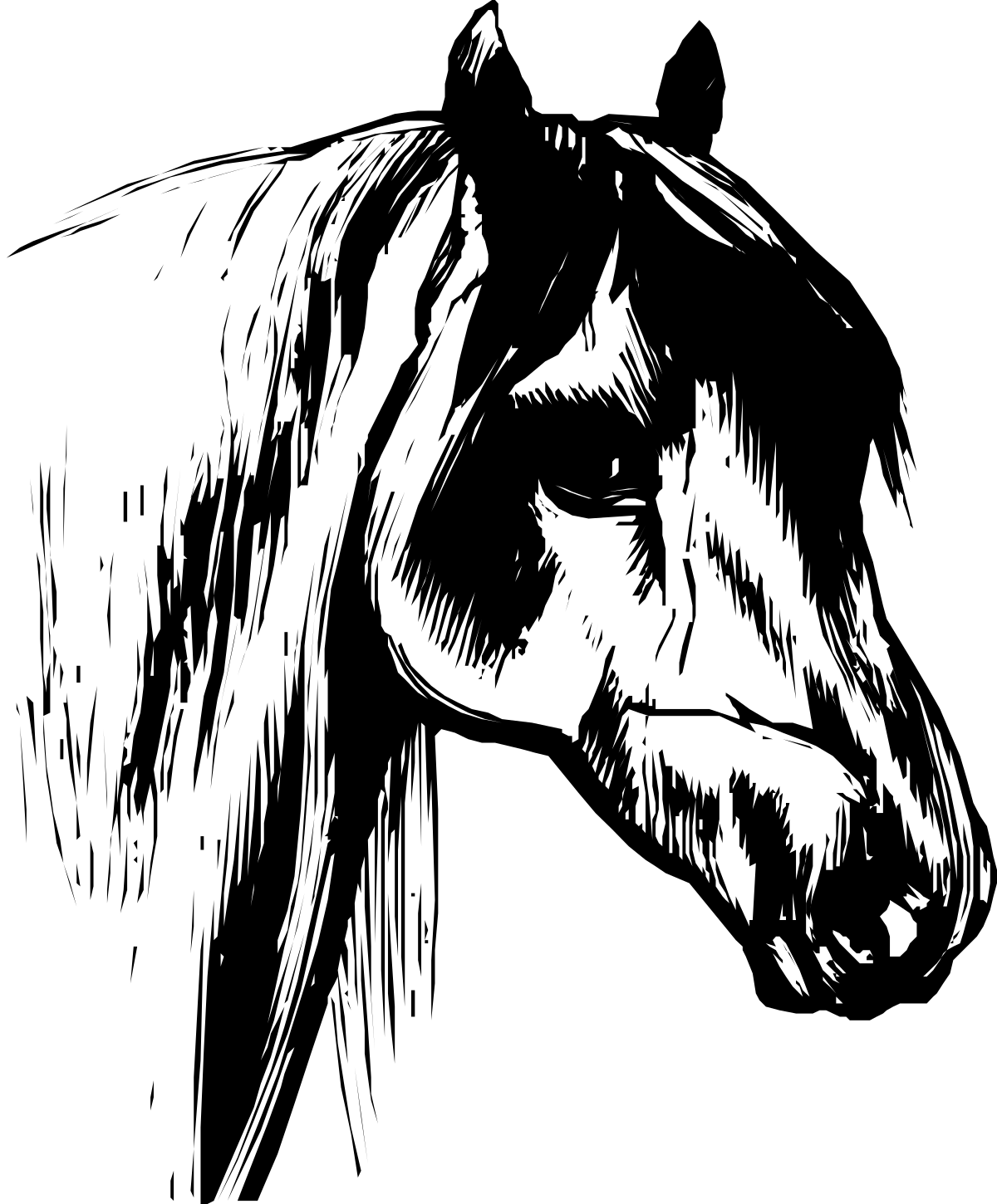 Black and White Horse Head Silhouette on Dark Background