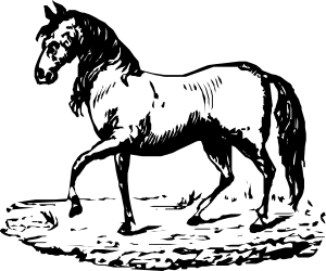 Horse Silhouette on Black Background: Stunning Clipart for Dynamic Designs