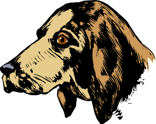 Brown-Faced Dog Clipart: Adorable Canine with Charming Brown Eyes