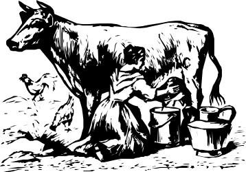 Black and White Cow Clipart - Rustic Farm Illustration