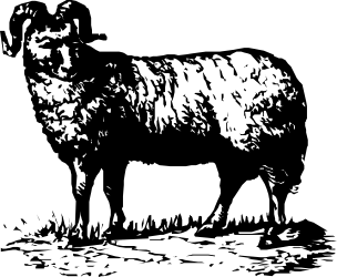 Silhouette of a Black and White Cow Against a Dark Background