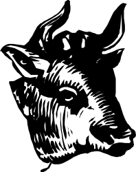 Wolf Head Clipart: Striking Black and White Illustration