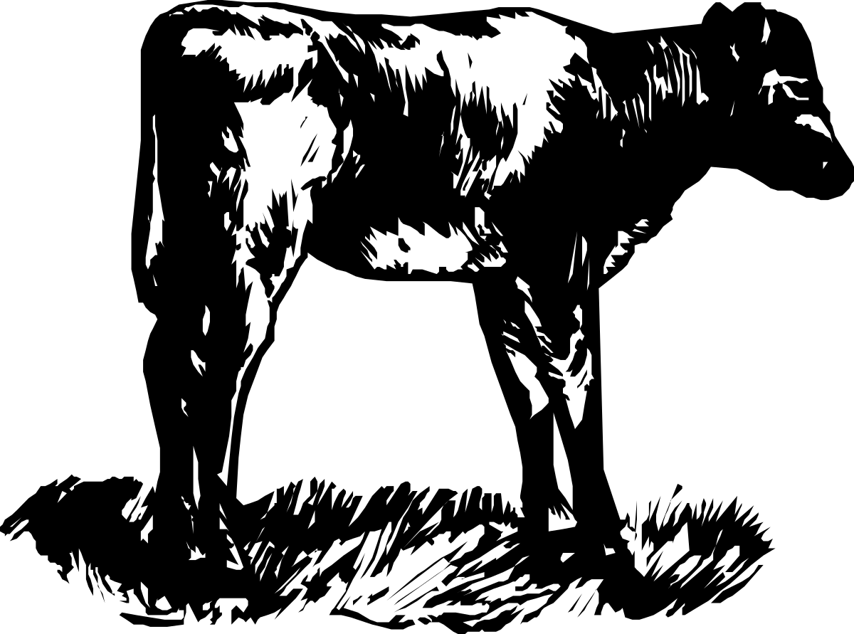 Black and White Cow Clipart - High-Quality Monochrome Illustration