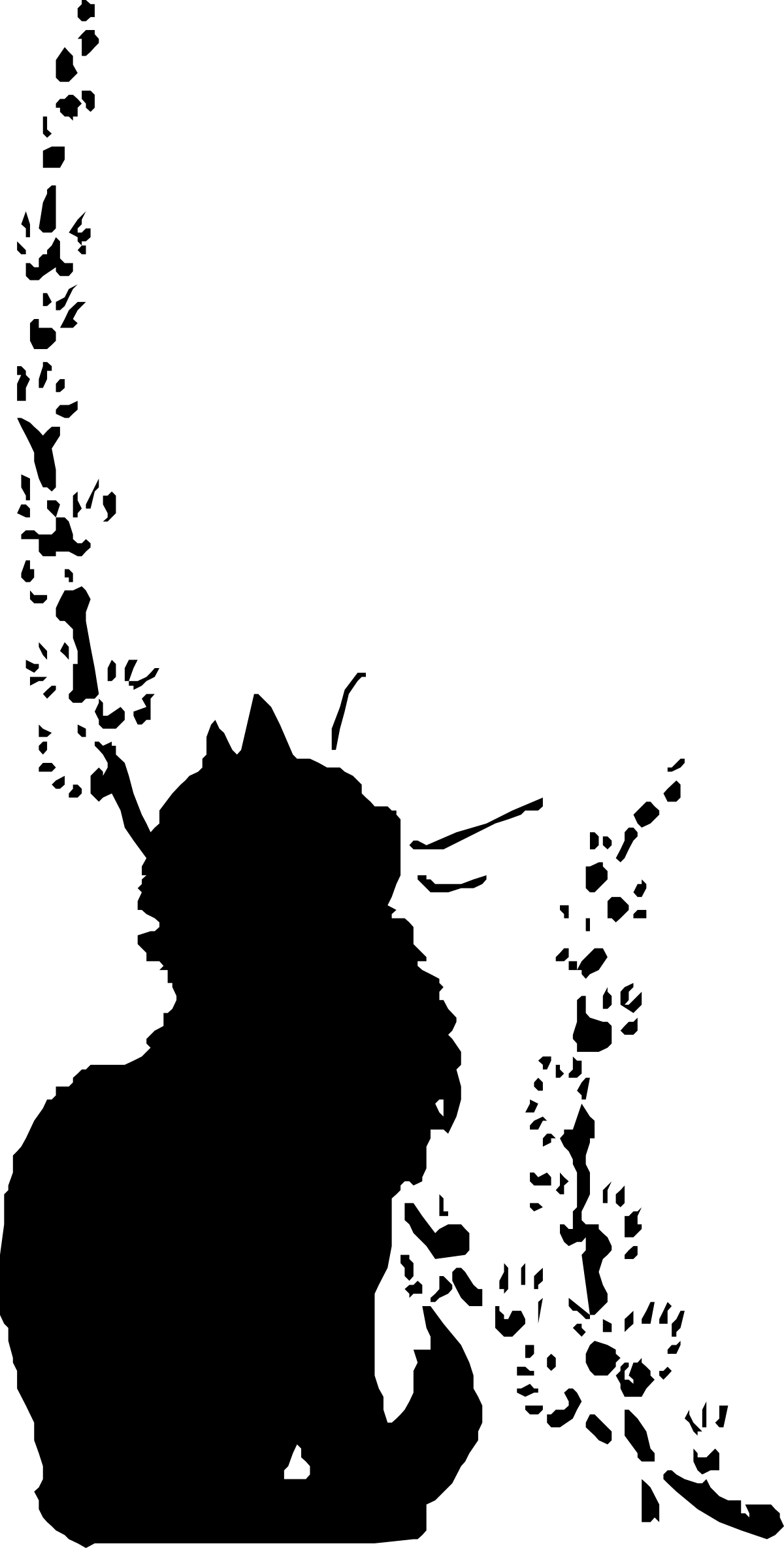 Black Background with White Circle Clipart - Elegant Minimalism for Every Project