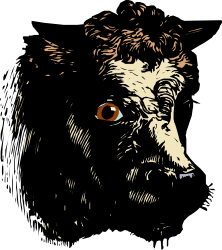 Cow with Big Eye Clipart - Adorable Farm Animal Illustration