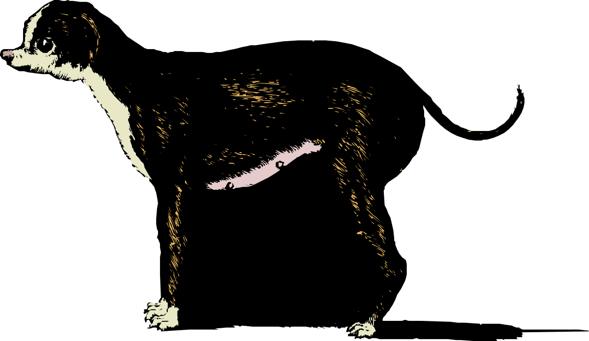 Black and White Dog Silhouette on Dark Background - Captivating Clipart