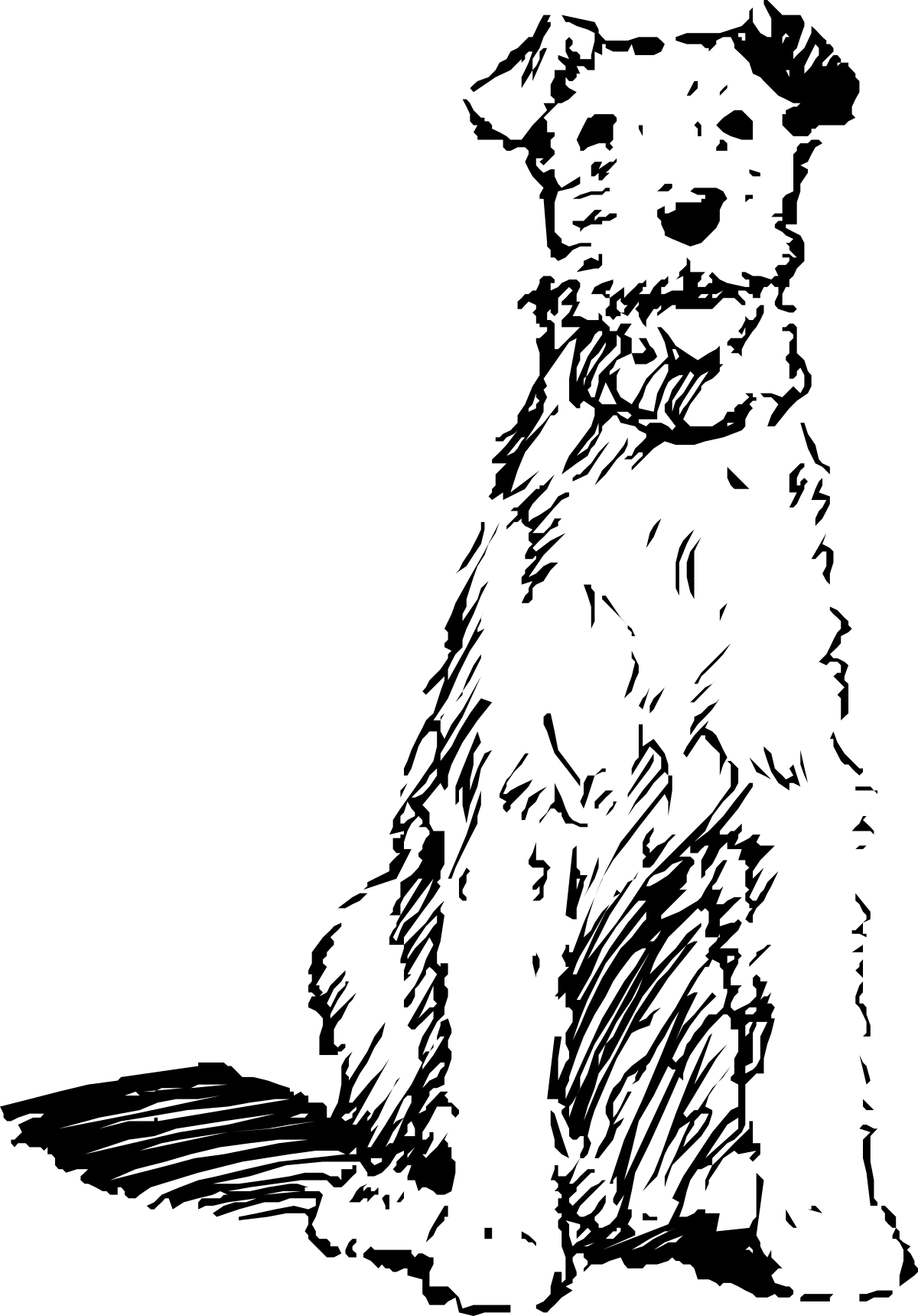 a black and white cat sitting on a black background clip art png transparent Black and White Cat on Black Background Clipart