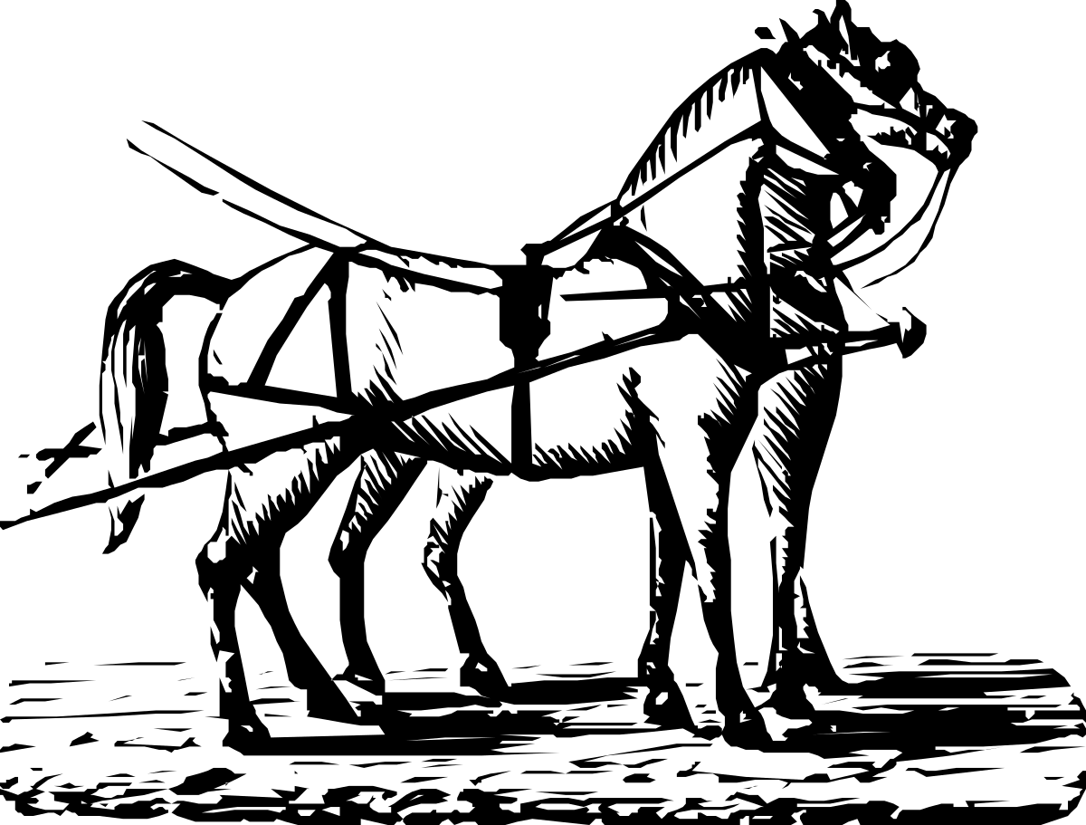 Stunning Black and White Horse Clipart for Creative Projects