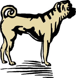 Dog with Long Tail in Dark - Stunning Clipart Illustration