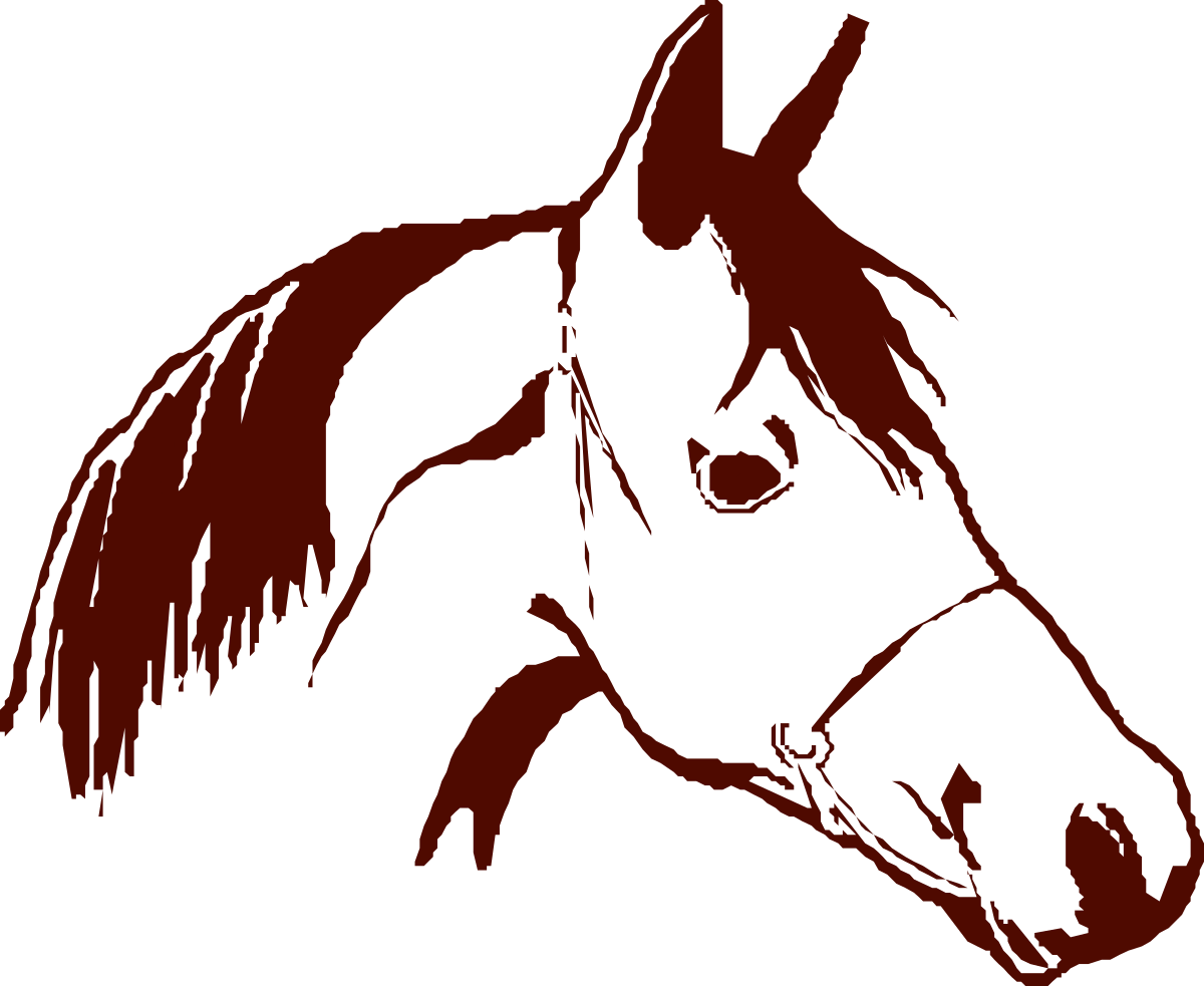 Horse Head Silhouette on Black Background - Stunning Clipart for Your Projects