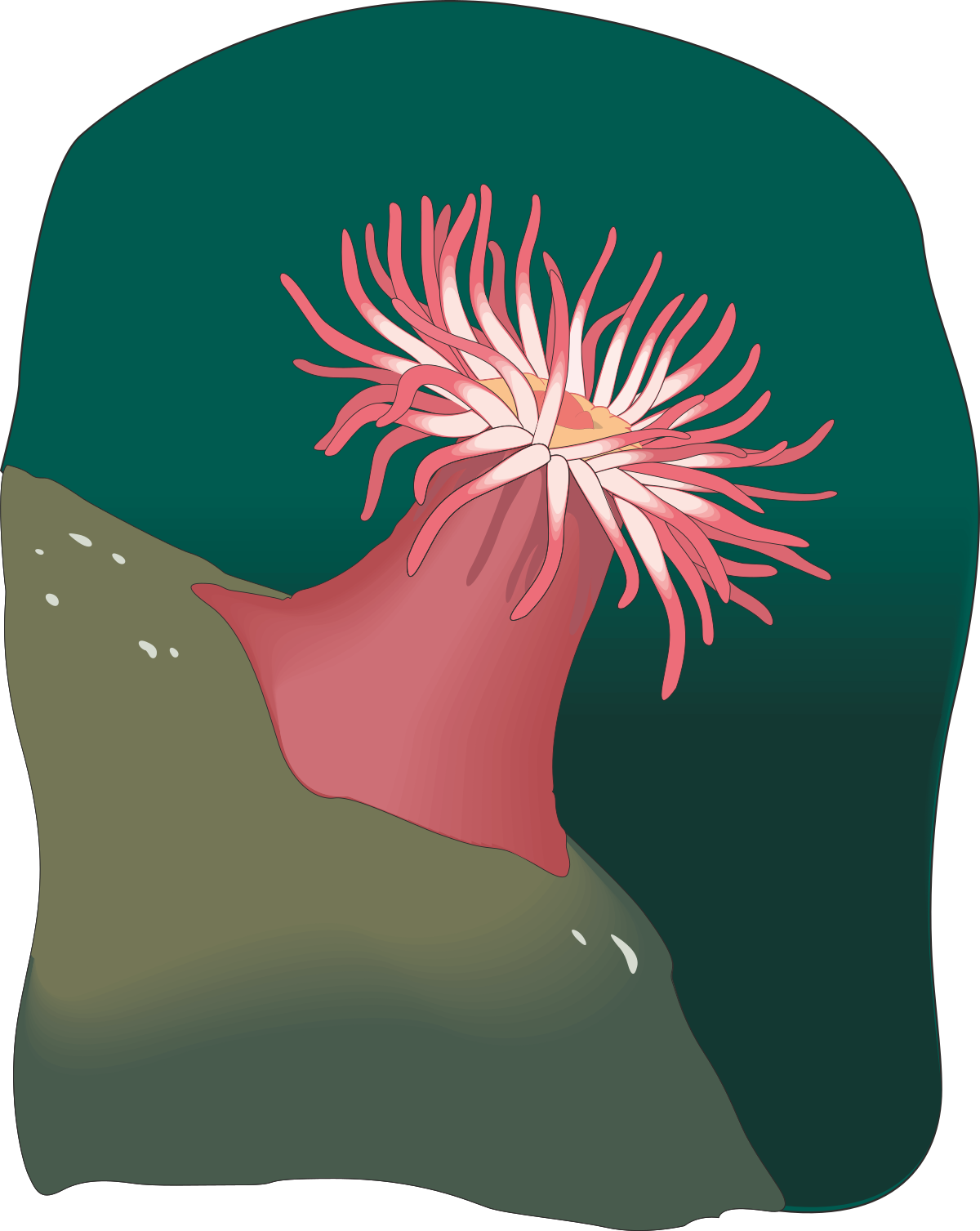a pink flower on a green background clip art png transparent Pink Flower on Green Background - Vibrant Clipart for All Uses