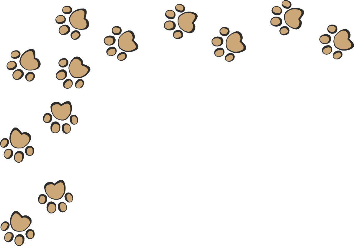 a black background with lots of small brown dots clip art png transparent Animal Borders Clipart: Bear Prints on Black Background