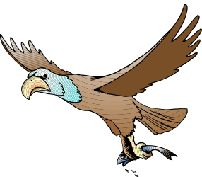 Eagle Flying in the Air with Spread Wings Clipart
