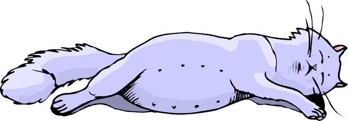 White Cat Laying on Ground - Charming Clipart for Your Projects