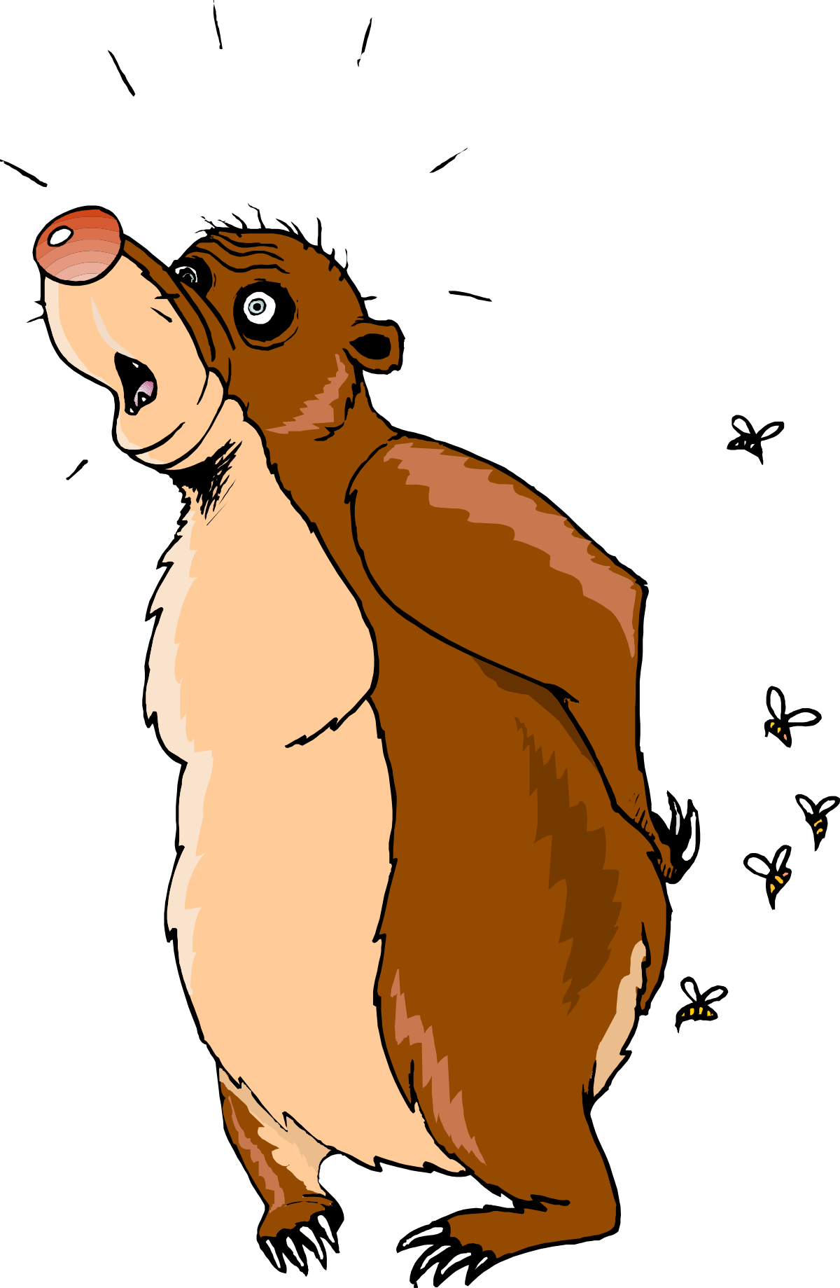 a brown bear with a big nose and a big nose clip art png transparent Brown Bear Clipart: Adorable Big-Nosed Cartoon Character