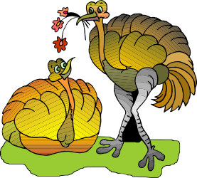 Turkey Clipart: Realistic Turkey Sitting on the Ground