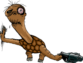 Turtle with Tennis Ball and Shoe Clipart - Fun Sports Graphics