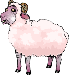 Sheep Clipart with Pink Coat on Black Background