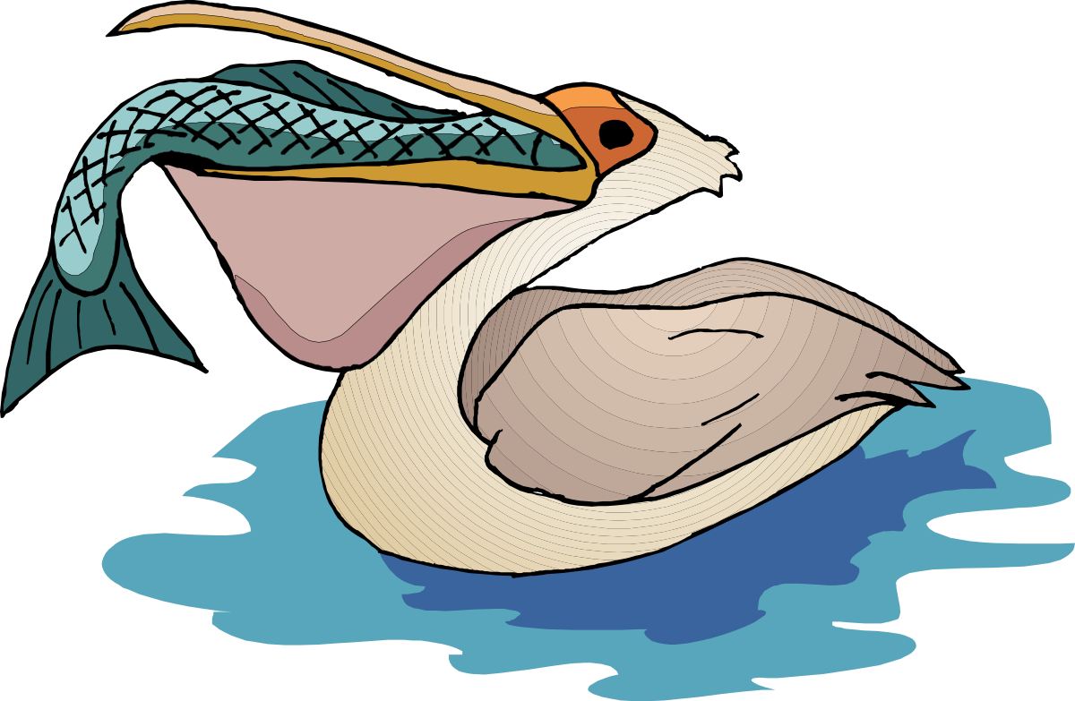 a pekin swimming in the water clip art png transparent Pekin Duck Swimming in Water Clipart: Vibrant and Serene