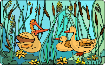 Ducks Swimming in a Pond with Reeds - Nature Clipart