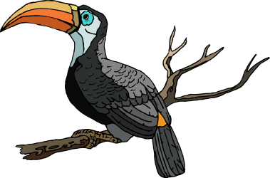 Toucan Bird on Branch - Vibrant Clipart for Nature Lovers