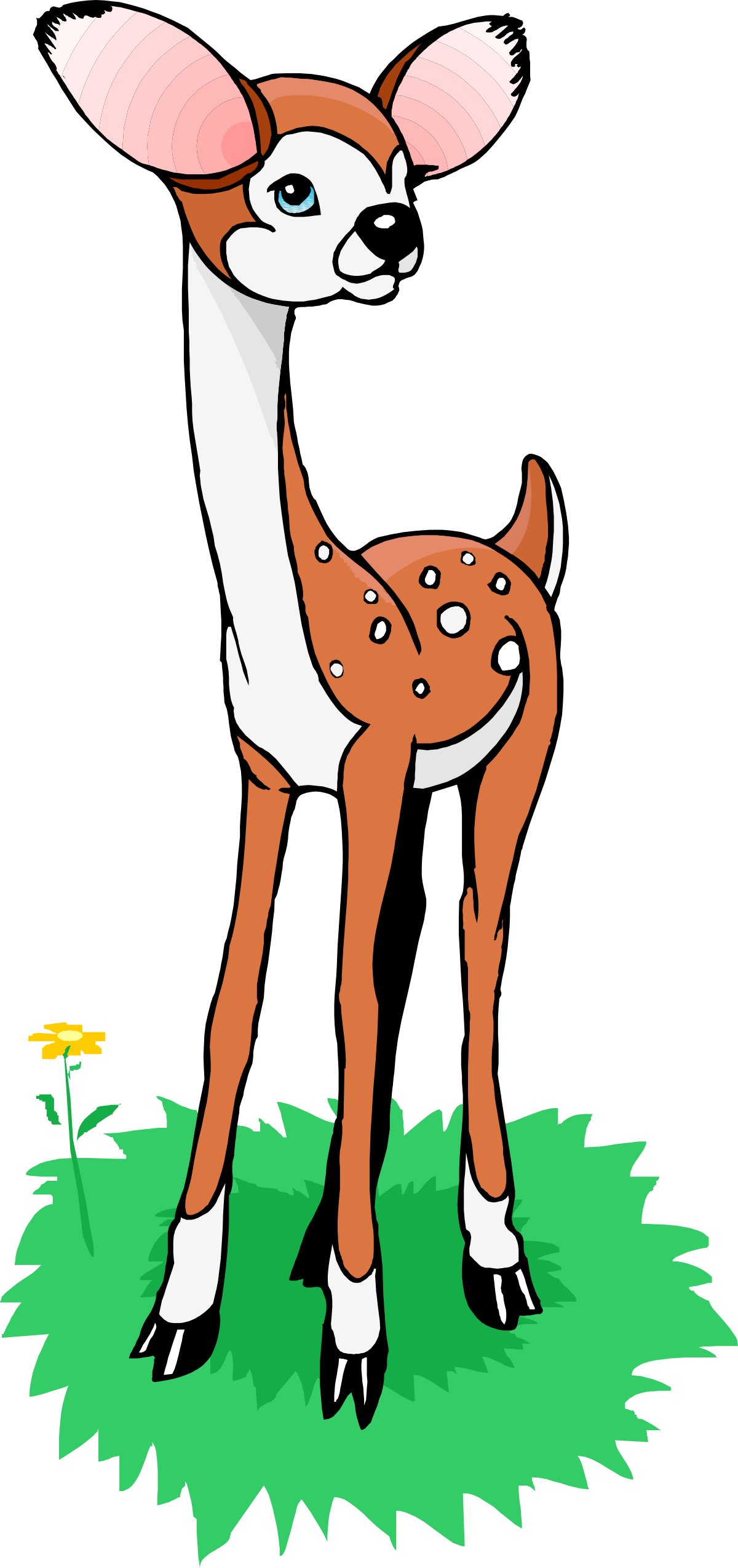 Deer and Fawn Clipart: Adorable Wildlife Illustrations