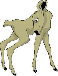 Donkey Clipart with Big Nose - Fun and Whimsical Designs