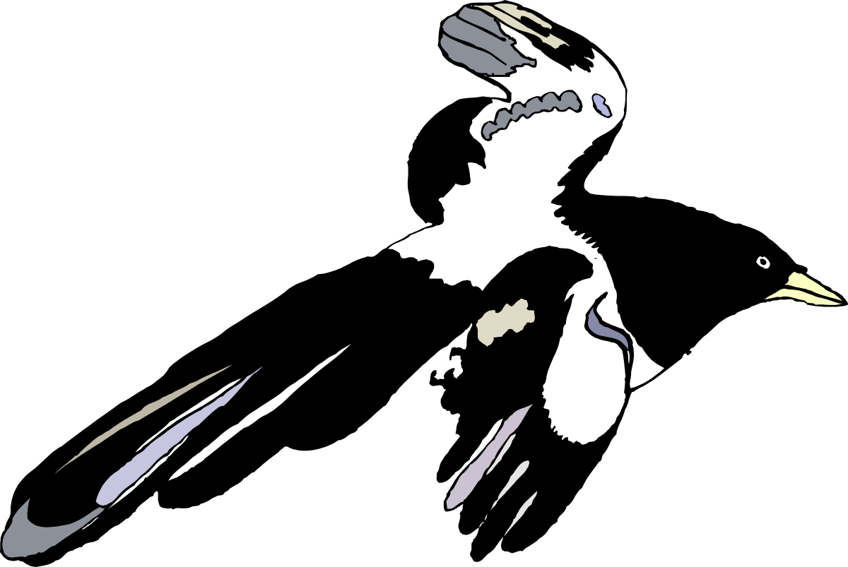 Bird in Flight with Wings Spread - Stunning Nature Clipart