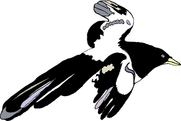 Bird in Flight with Wings Spread - Stunning Nature Clipart