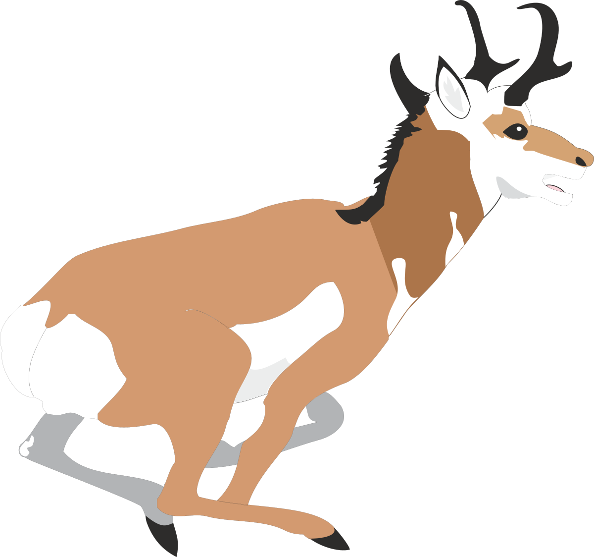 a brown and white ant ant ant ant ant ant ant ant ant ant ant ant ant ant ant ant ant ant ant ant ant ant ant ant clip art png transparent Brown and White Ant Clipart: Unique and Detailed Ant Illustrations