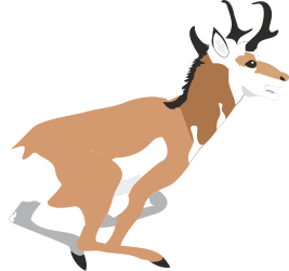 ANIMALS,WILD,ANTELOPE clipart