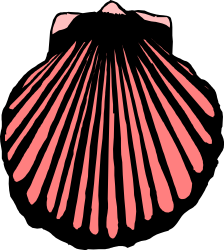 Pink Shell on Black Background Clipart