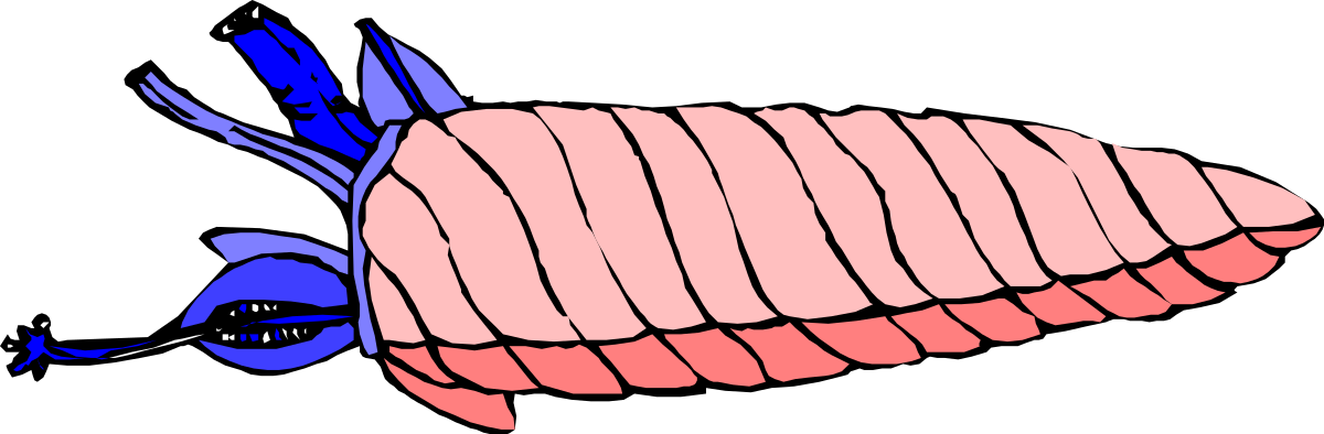 a diagram of the human body clip art png transparent Human Body Diagram Clipart: Detailed Anatomical Illustration