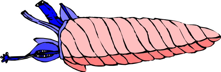 Human Body Diagram Clipart: Detailed Anatomical Illustration